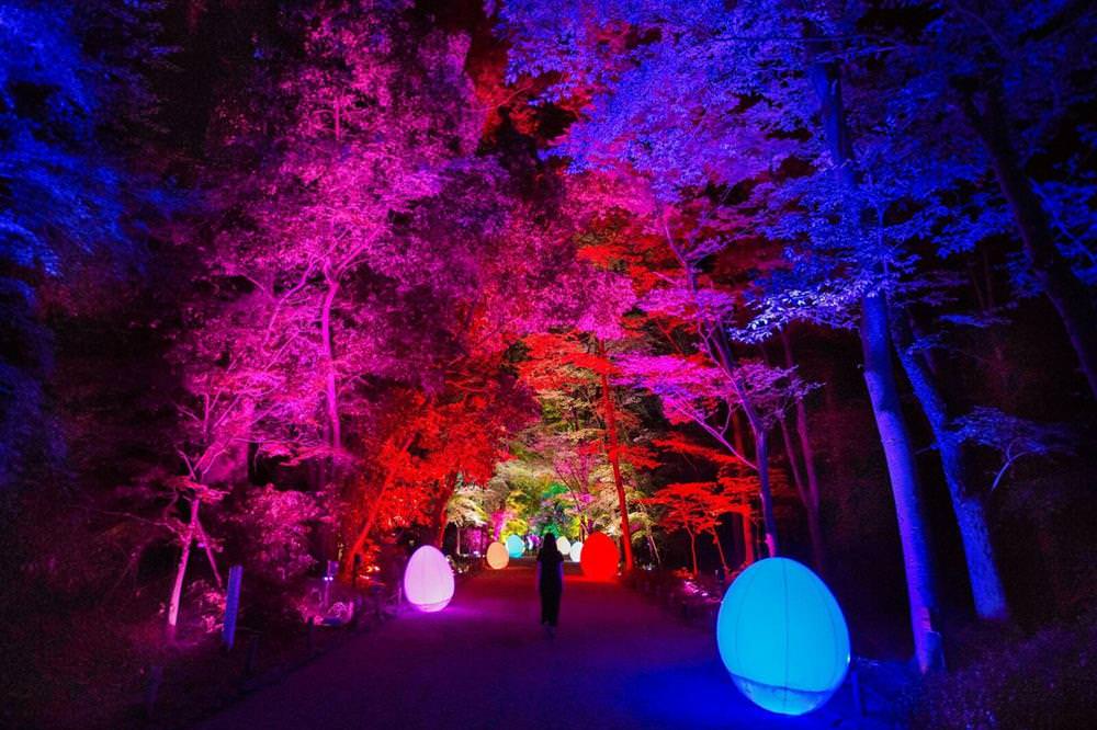 【期間限定】京都景點：2021京都下鴨神社糺の森の光の祭典 x teamLab - Travel x Freedom 旅誌字遊 threeonelee.com
