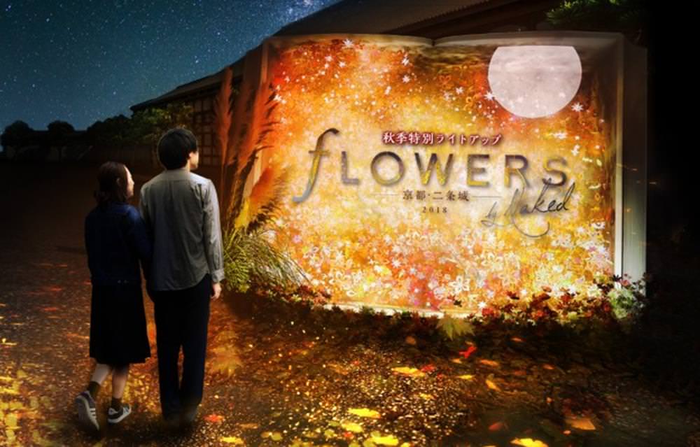 【Flowers By Naked 2019ー京都・二条城ー】世界遺産登錄25週年！ - Travel x Freedom 旅誌字遊 threeonelee.com