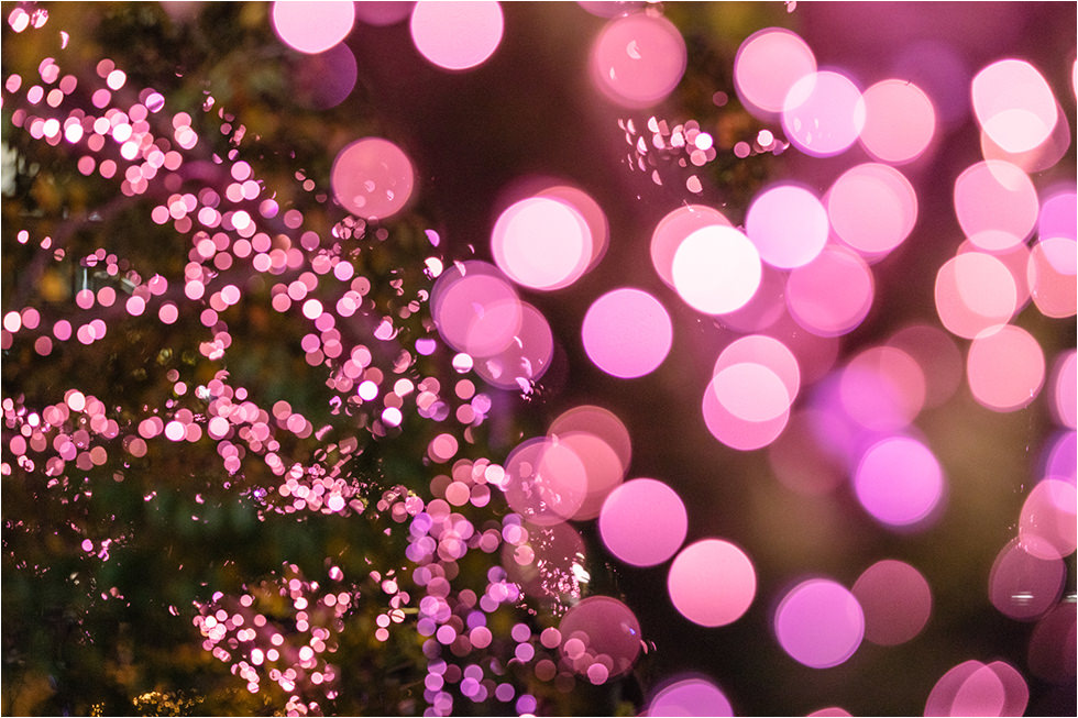 2021東京夜櫻綻開！目黑川冬季聖誕燈飾：2.2公里絕美粉紅「冬之櫻」 - threeonelee.com