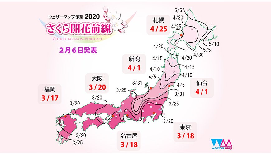 2021日本櫻花最前線！日本各地開花、滿開時間預測！ - threeonelee.com