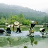 《池中劍》十鼓擊樂團 4 月撼動宜蘭力麗馬告生態園區明池！